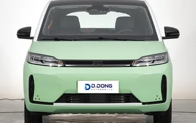 Byd D1