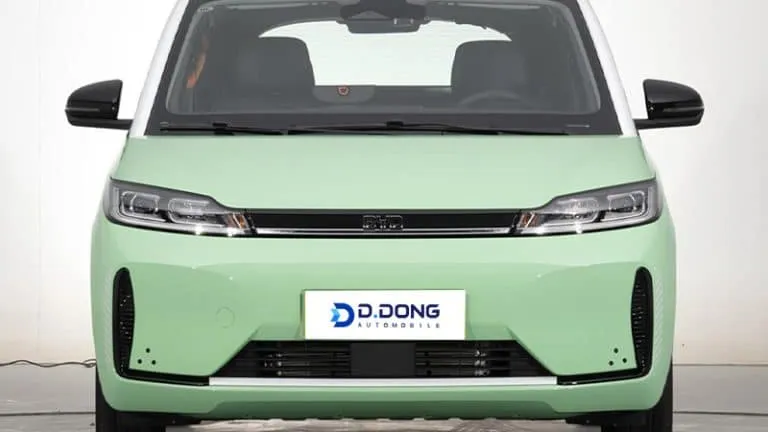 Byd D1