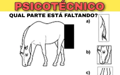 Exame Psicotécnico