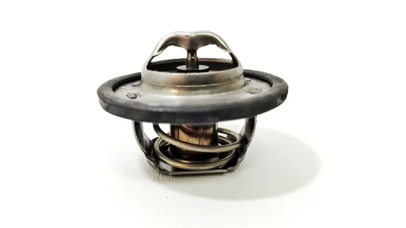 Válvula Termostática